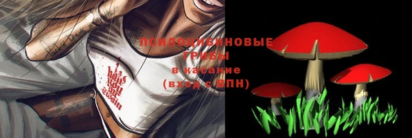 спиды Алексеевка
