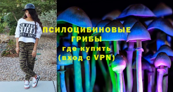 МДПВ Абинск
