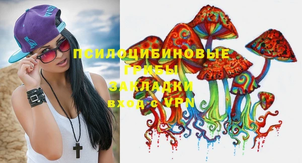 МДПВ Абинск