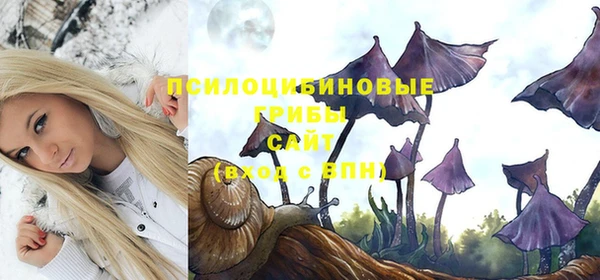 МДПВ Абинск