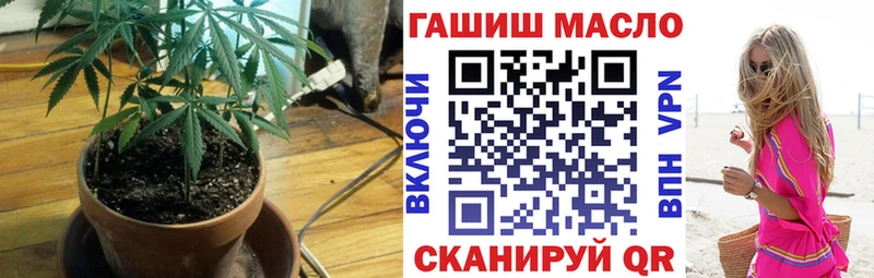 ТГК концентрат закладка Сысерть