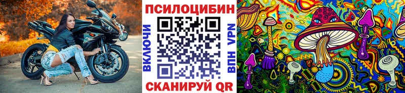 Галлюциногенные грибы Psilocybe  ссылка на мегу ссылки  Сысерть  что такое  